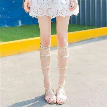 小黑花花世界杯